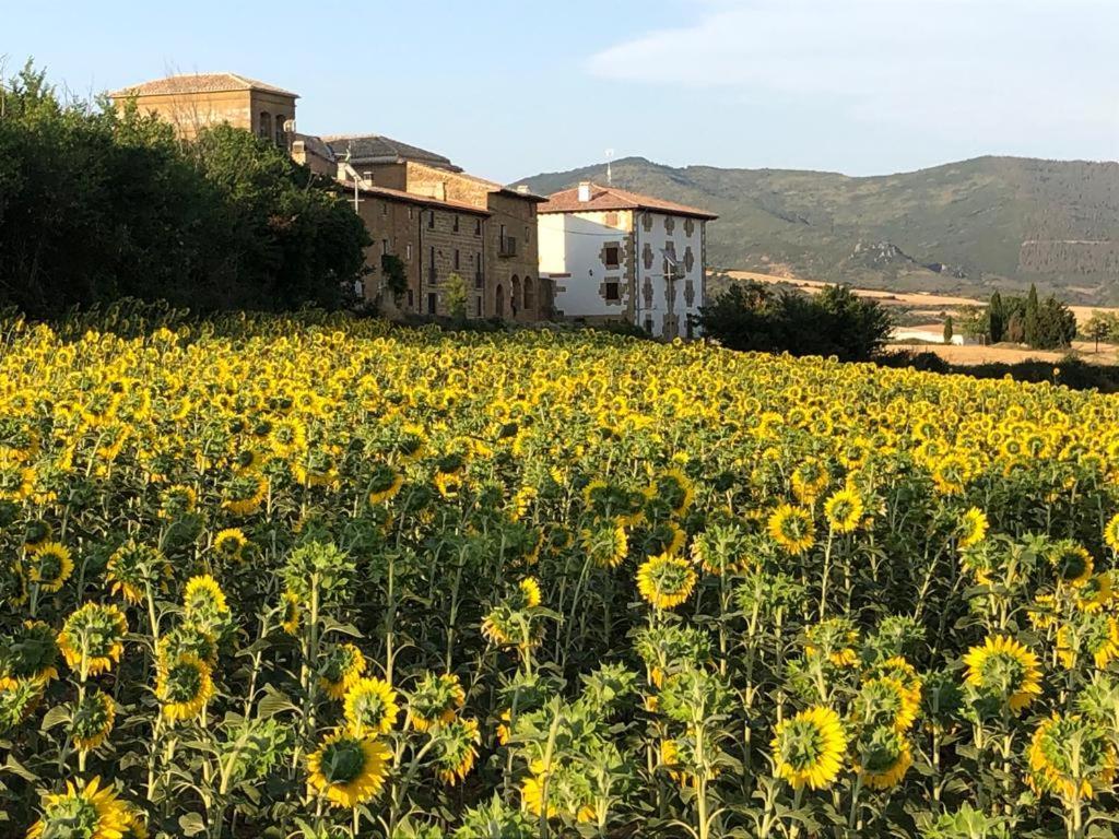 Casa Rural La Sacristana Lacar Extérieur photo